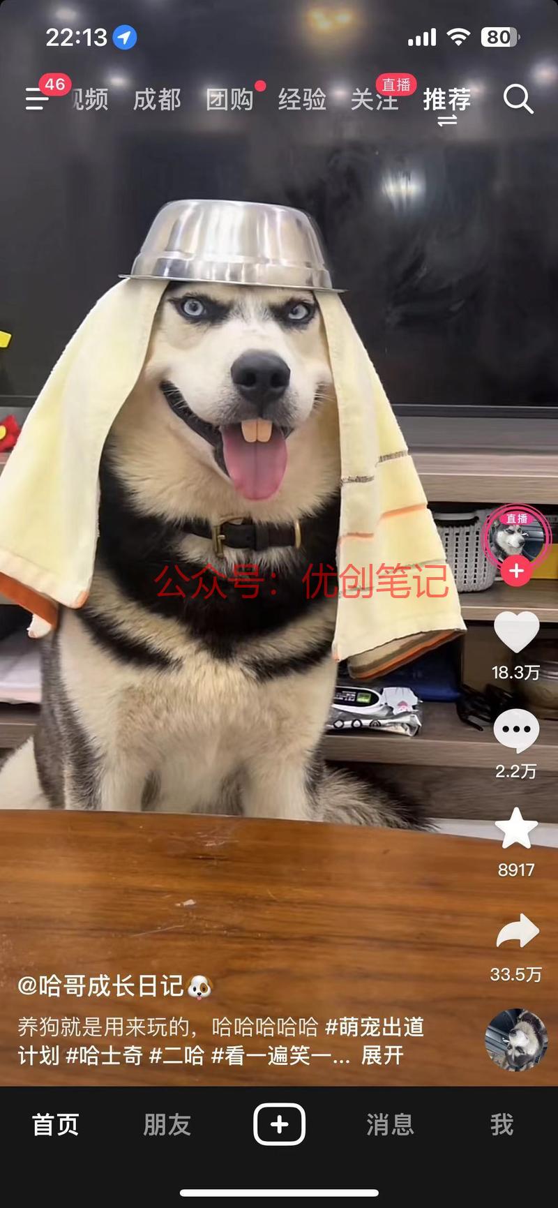 宠物直播，带火一波。..情报-搞钱线报📢论坛-网创交流-优创圈